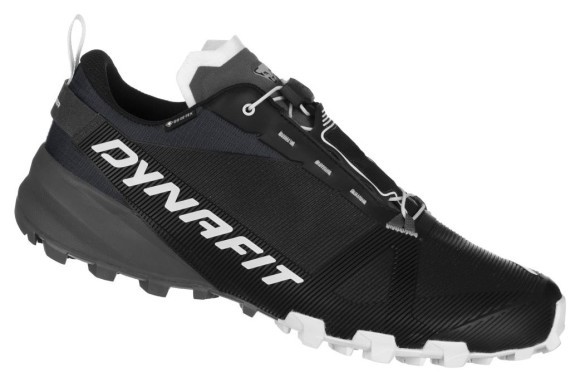 Кросівки Dynafit Traverse GTX Mns, укр