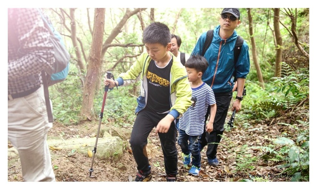 Трекинговая палка 3-сек. Naturehike Women 6061 AL NH17D001-Z, 57-120 см, алюминий, зеленый