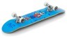 Скейтборд Enuff Skully Mini blue Фото - 1