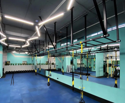 Рукохід стельовий RN-Sport Imperium