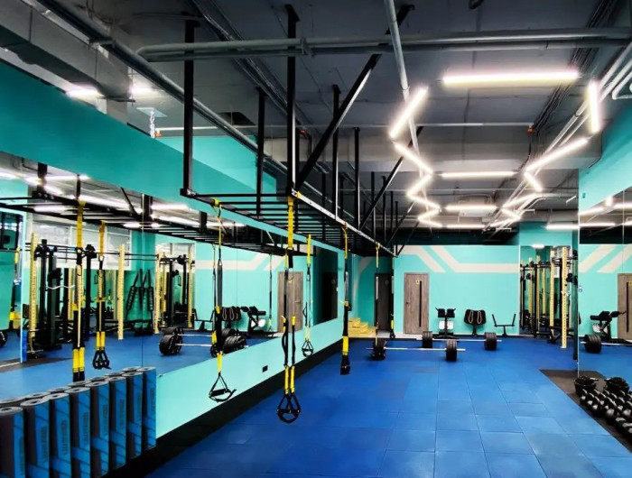 Рукохід стельовий RN-Sport Imperium