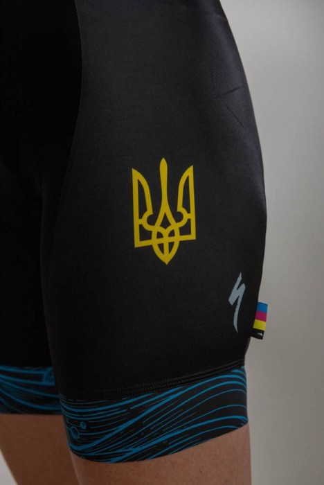 Велошорты Specialized RBX BIB SHORT W/SWAT WMN FULL CUSTOM 2023