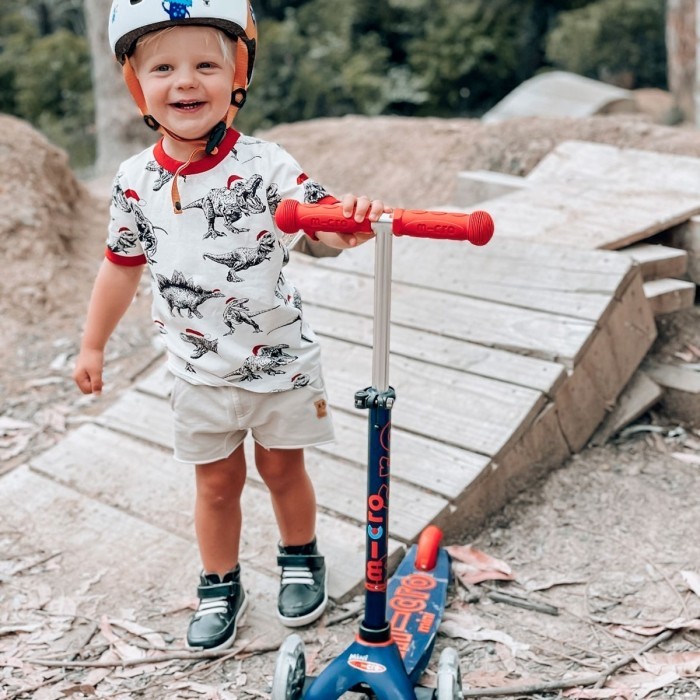 Самокат Micro Mini Deluxe LED