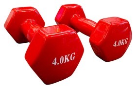 ГАНТЕЛИ  0.5 кг BAVAR SPORT (фіолетовий)