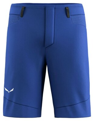 Шорты Salewa Agner DST Mns