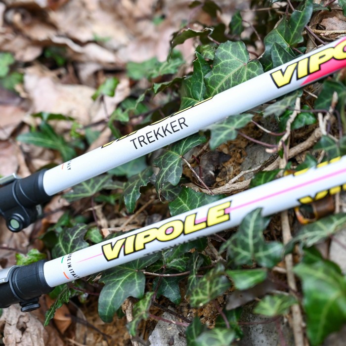 Палки трекинговые Vipole Trekker Violet (S25 11)