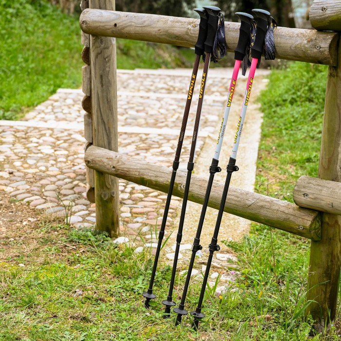Палки трекинговые Vipole Trekker Violet (S25 11)