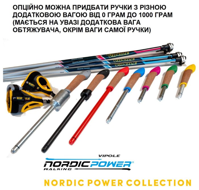 Секція палиць для скандинавської ходьби Vipole Asta Power Steps Blue 110 (SW20 01)