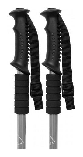 Палка для скандинавской ходьбы EasyFit Energia серая