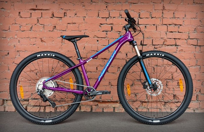 Велосипед гірський 29" Merida Big.Nine 200 Purple (2023)