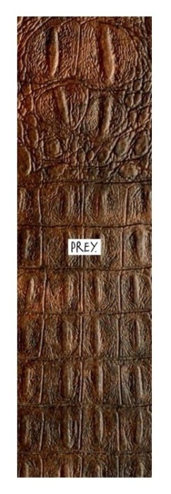 Наждак Prey Pro