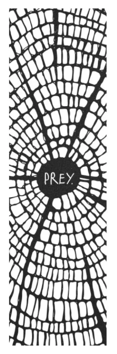 Наждак Prey Pro