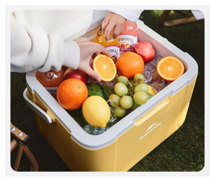 Туристичний холодильник Naturehike CNK2450CF012, 18 л, зелений