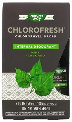 Chlorofresh® Mint 40X Liquid - 59 ml