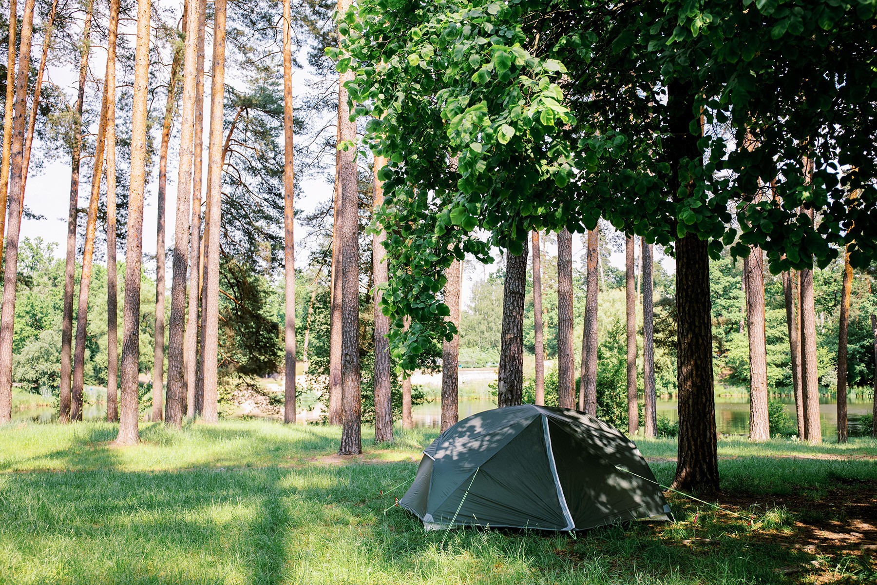 Палатка Tramp Cloud 3 Si Зеленая