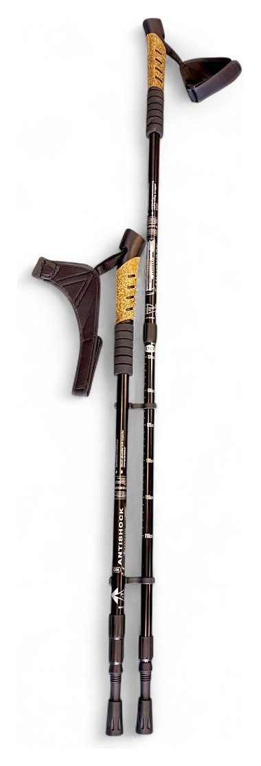 Палки для скандинавской ходьбы 553 Bavar Sport (черный)