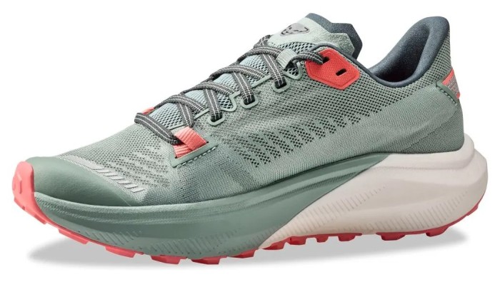 Кросівки Dynafit Trail Wmn