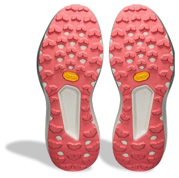 Кросівки Dynafit Trail Wmn