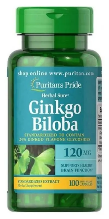 Ginkgo Biloba Standardized Extract 120mg - 100caps