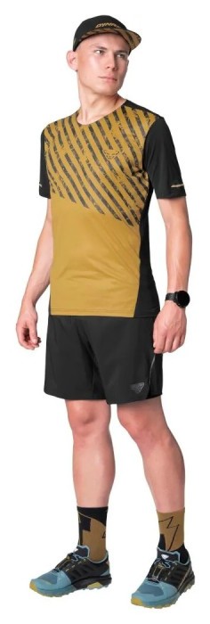 Шорты Dynafit Alpine Pro 2/1 Mns