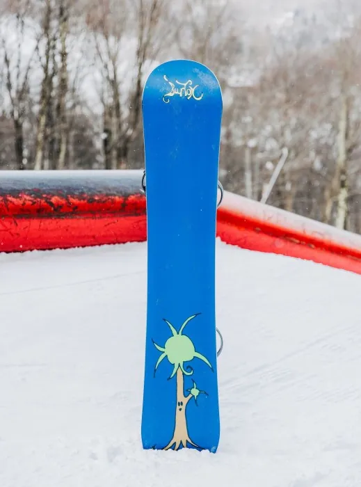 Сноуборд BURTON (229431) BLOSSOM 2023