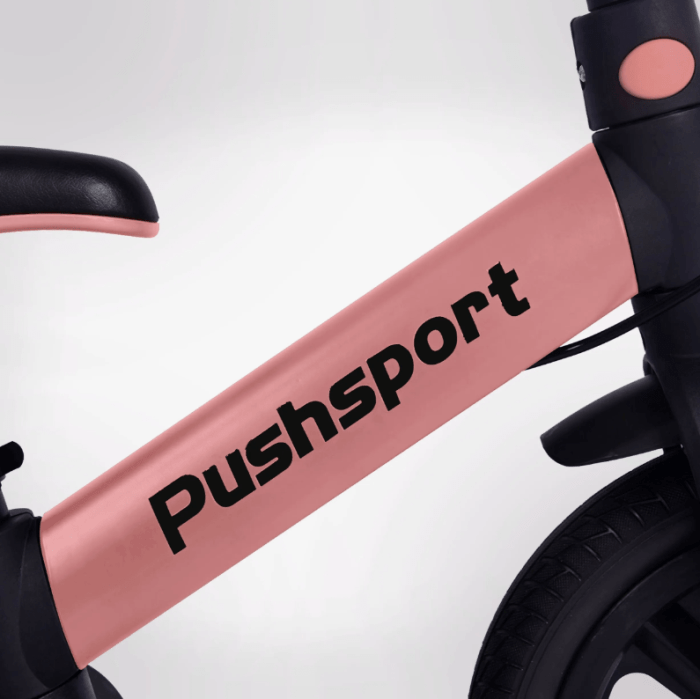 Велосипед PUSH SPORT M10 pink (Рожевий), укр, укр