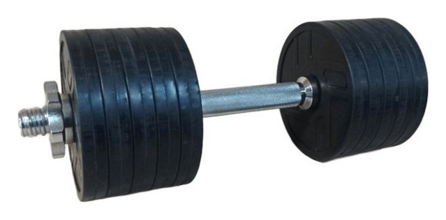 Розпродаж! Гума гантель 13,5 кг (гриф 35 см + 10х1.25 диски)