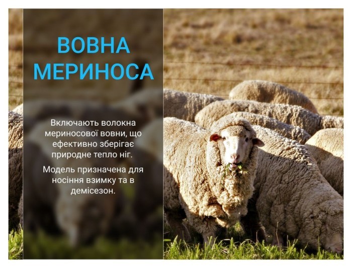 Носки Dexshell Terrain Walking 2.0 Socks, хаки, размер L (43-46)