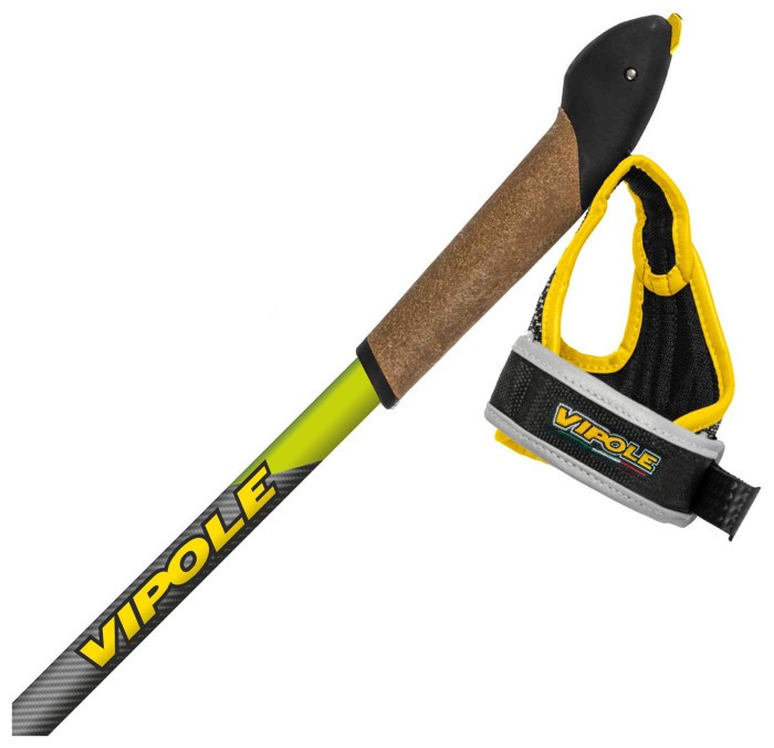 Палки для скандинавской ходьбы Vipole Instructor Vario QL Green DLX (S25 26)