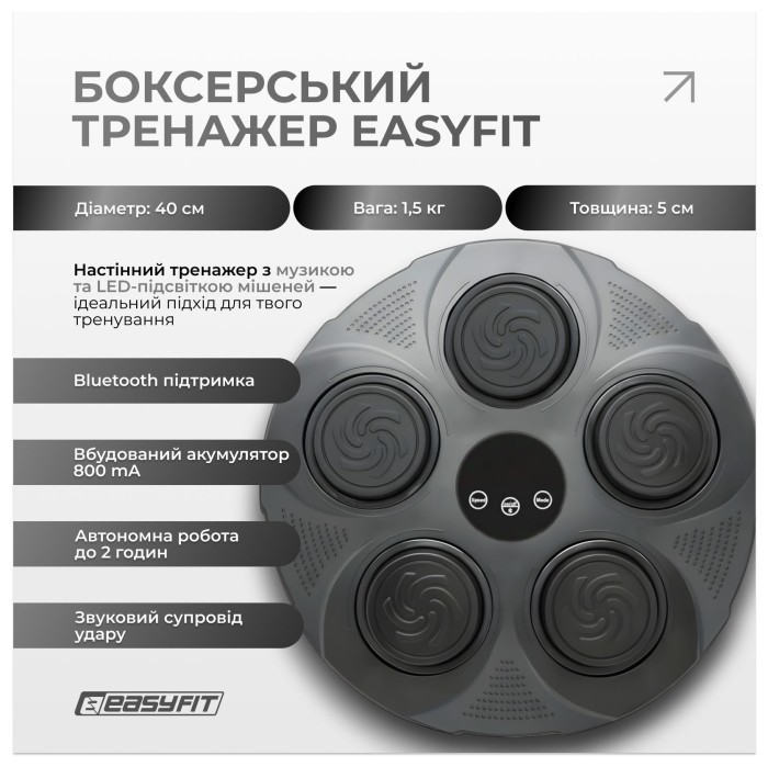 Боксерский тренажер EasyFit настенный музыкальный с подсветкой