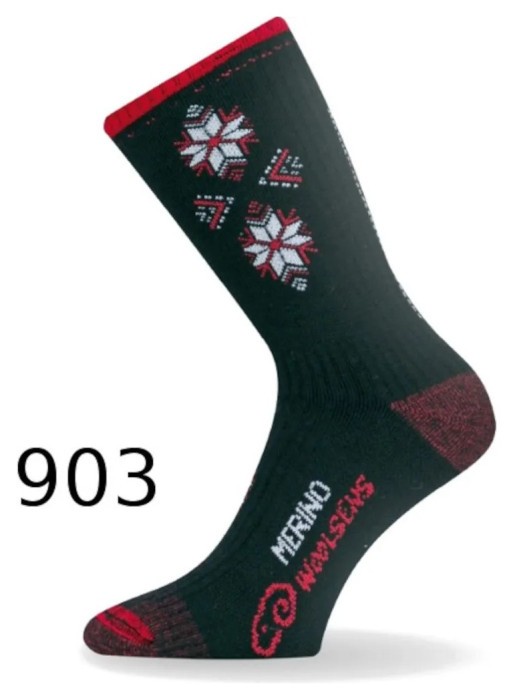 Шкарпетки Lasting SCK