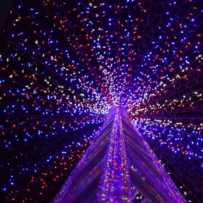 Гирлянда на батарейках Springos 5 м 50 LED 8 режимов CL4107 Mix